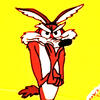 wile e coyote / looney tunes